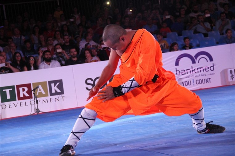 Martial Arts Festival